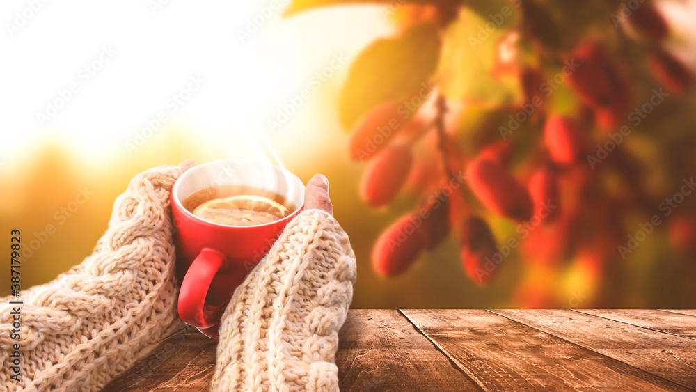 Autumn background, hot cup of tea. Red cup in female hands on the background of the autumn landscape. Sunlight, wooden table in nature.