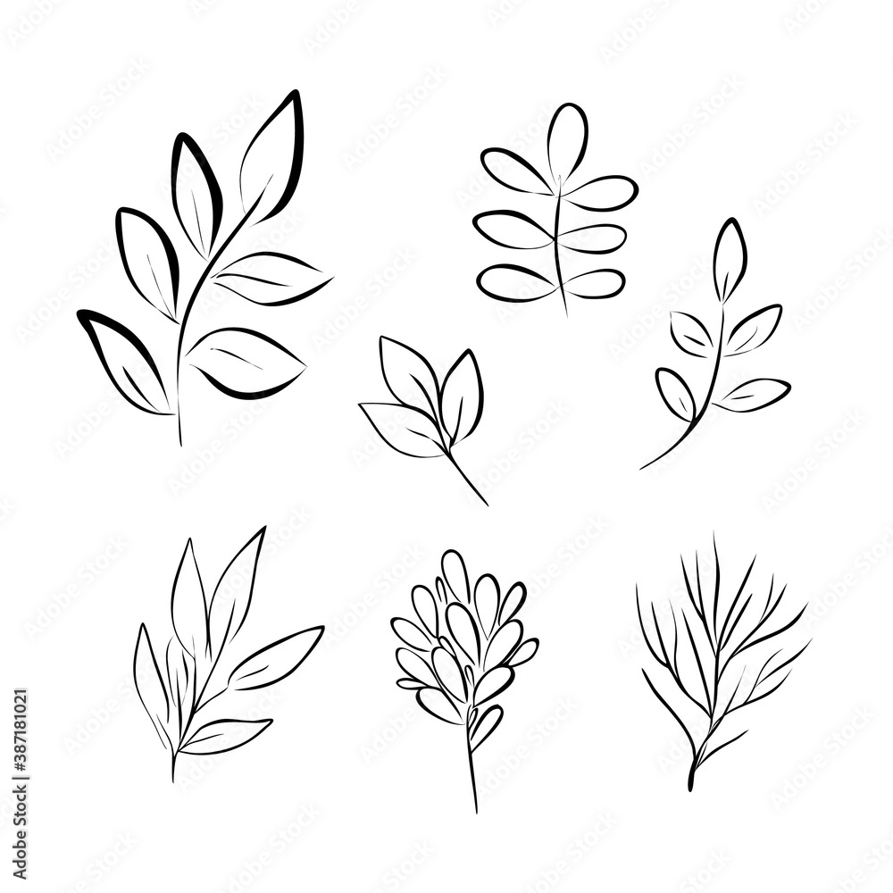 Fototapeta Leaves simple outline vector minimalist concept illustration, thin line hand drawn floral set, elements for design