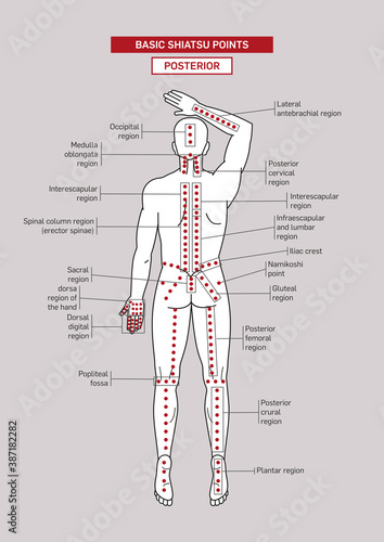 Basic Shiatsu Points Posterior
