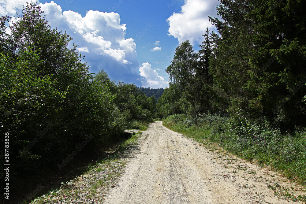 Gravel dirt road. It leads through a lush green forest. In the background you can see forested mountains and blue clear skies with light clouds