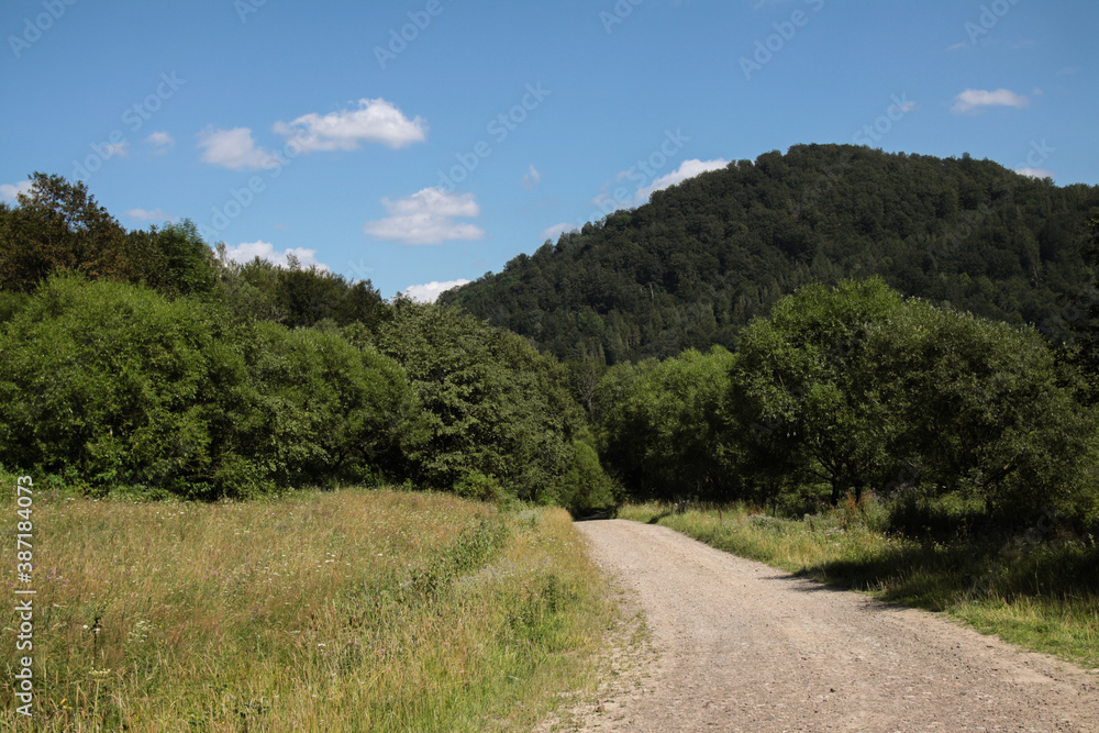 Gravel dirt road. It leads through a lush green forest. In the background you can see forested mountains and blue clear skies with light clouds