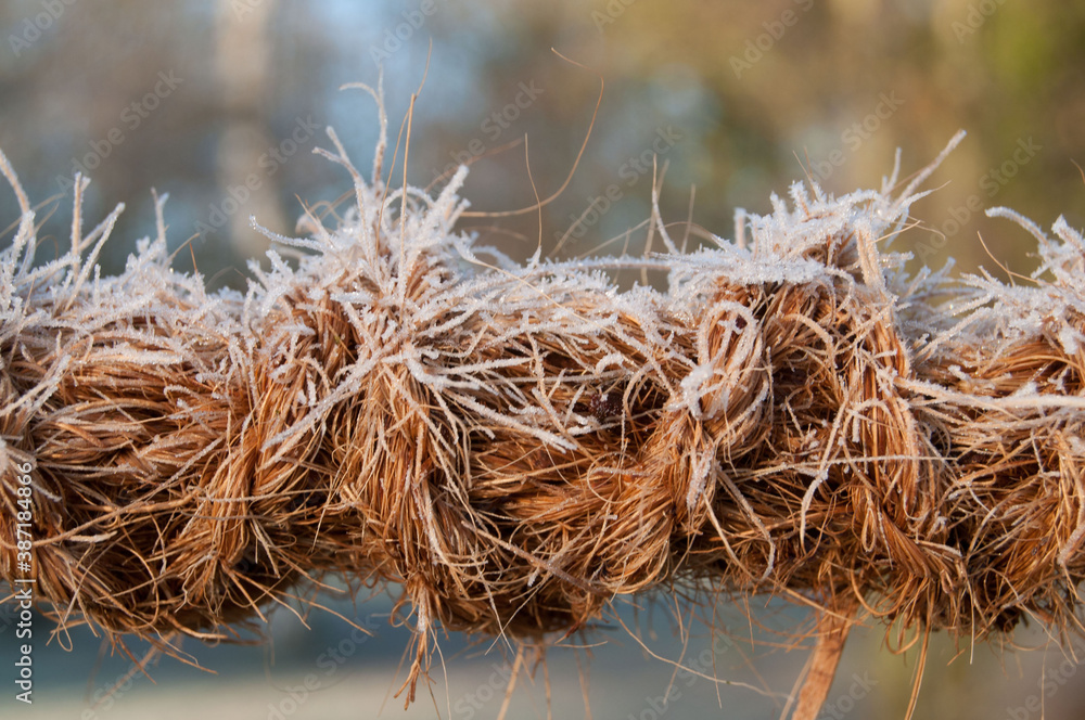 dickes Seil im Frost dickes Seil im Frost