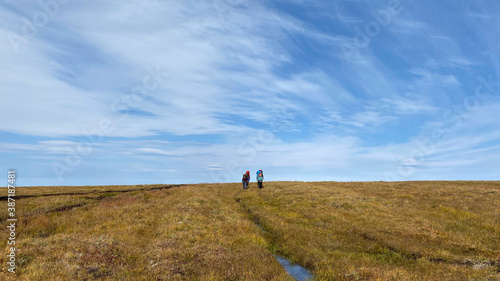 A group of hikers are walking along a large field of autumn tundra.