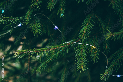 Christmas toys on a green background. Christmas tree branches. Background of the tree texture. The concept of a New year. Christmas  New year. Happy New Year. The concept of nature.