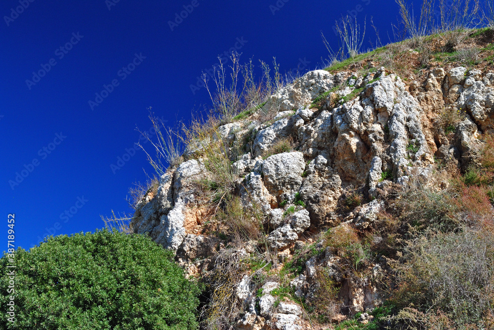 Close Up of Overgrown Rough Textured Rock Cliff against Blue Sky Close Up of Overgrown Rough Textured Rock Cliff against Blue Sky