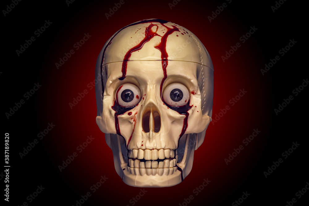 Fototapeta premium Spooky human skull in blood