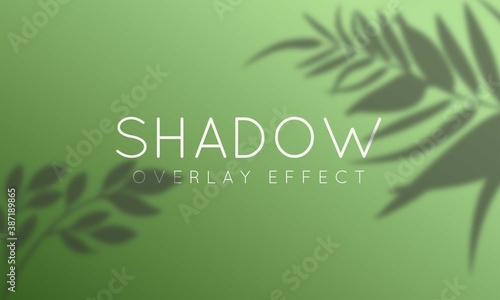 Shadow Overlay Effect Isolated on Avocado Green Background Vector Illustration. Mock Up Transparent leaf shadow overlay effect and soft light lightning. Plant, Foliage and Leaves