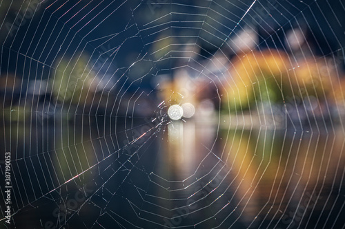 spider web in the morning overlooking autumn Hallstatt 