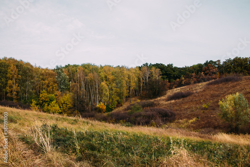 autumn landscape field and forest