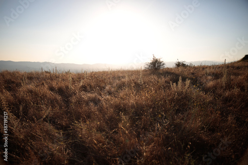 Fototapeta Naklejka Na Ścianę i Meble -  sunrise in the field