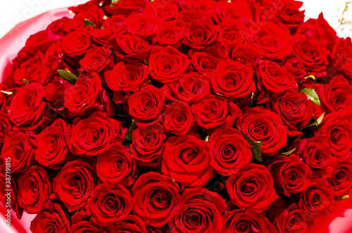 red roses in a huge beautiful bouquet for the holiday