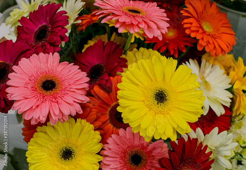 beautiful bouquet with natural bright flowers