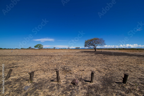 Taman Nasional Baluran or Baluran National Park, Situbondo, East Java, Indonesia photo