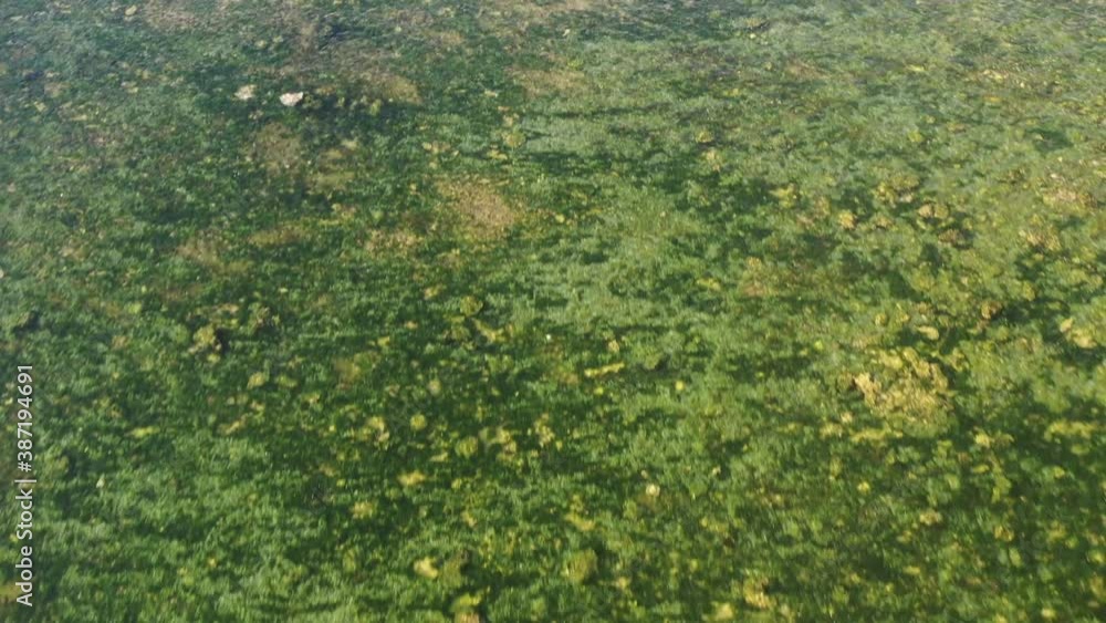 Shallow reef at G Land beach in east Java Indonesia home to diverse life, Aerial forward top view Shallow reef at G Land beach in east Java Indonesia home to diverse life, Aerial forward top view