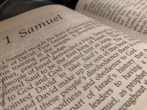 1 Samuel Bible Page