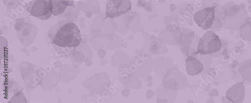 Ilustración hojas de color violáceo photo