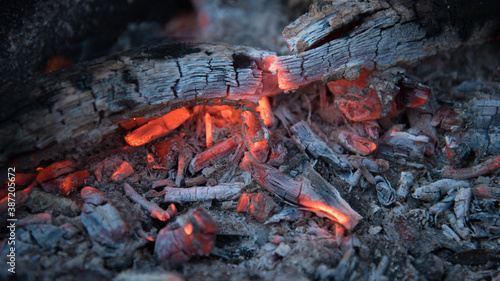 Embers in the fire. Dry, thin branches were added to the fire.