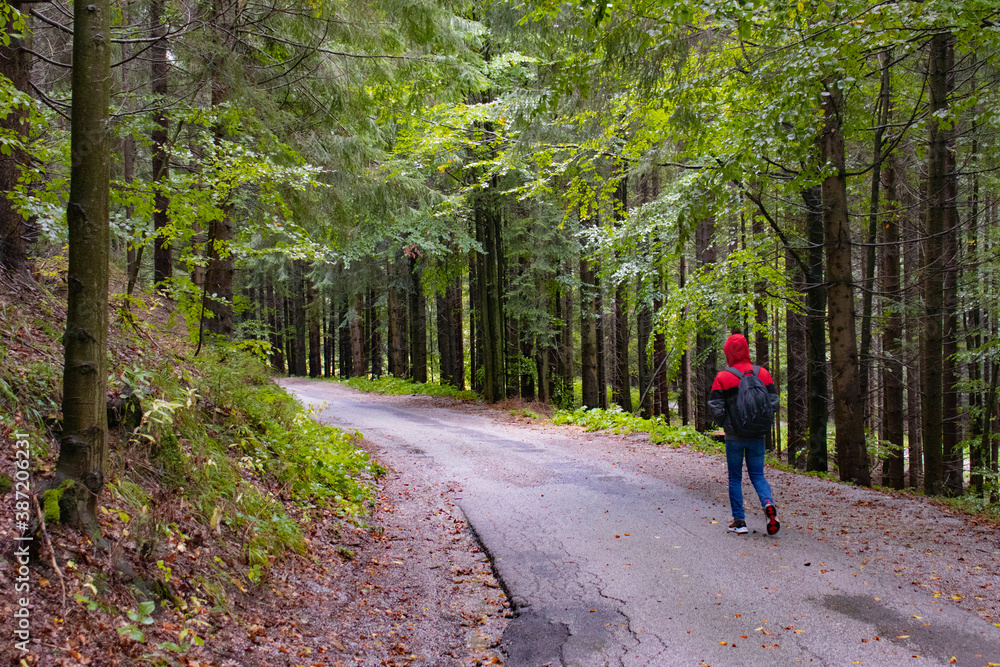 Fototapeta premium Traveler with backpack walks through the forest