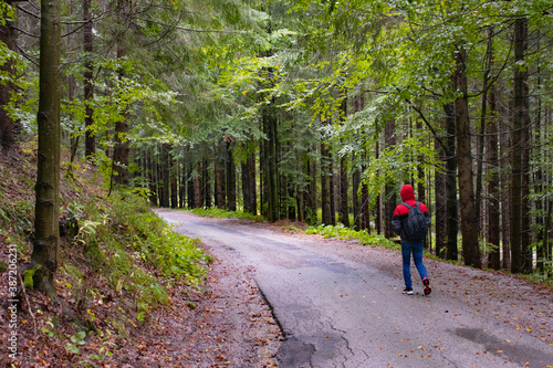 Wallpaper Mural Traveler with backpack walks through the forest Torontodigital.ca