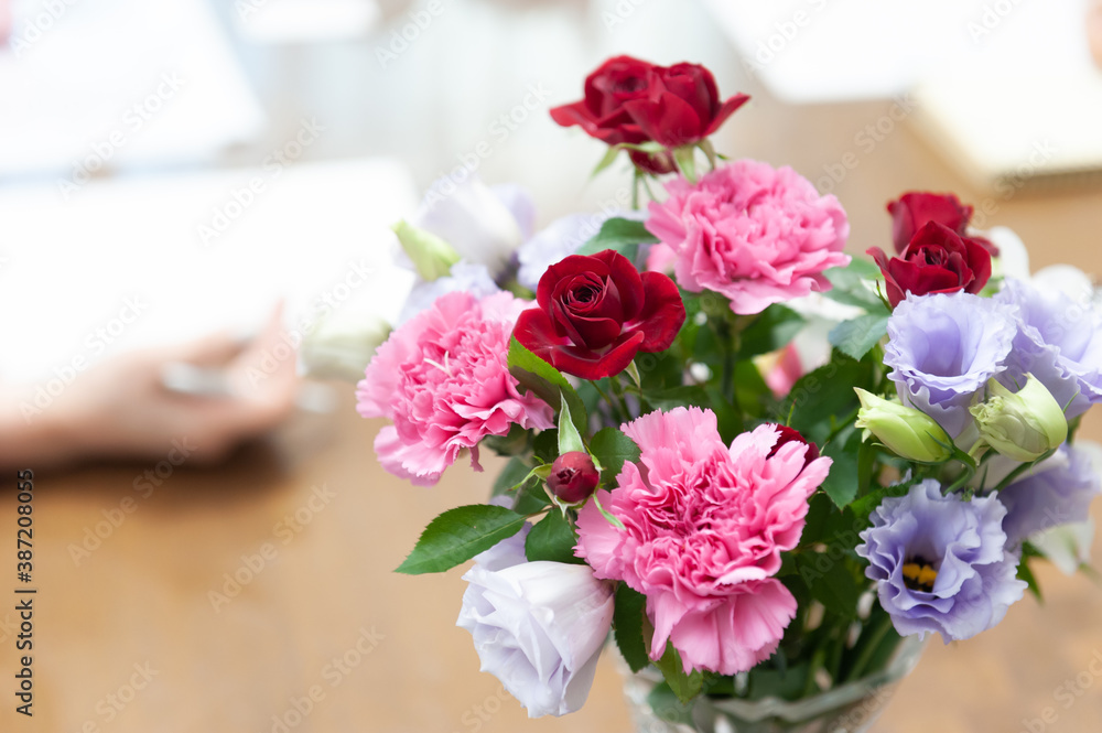 赤とピンクのばらの花 赤とピンクのばらの花