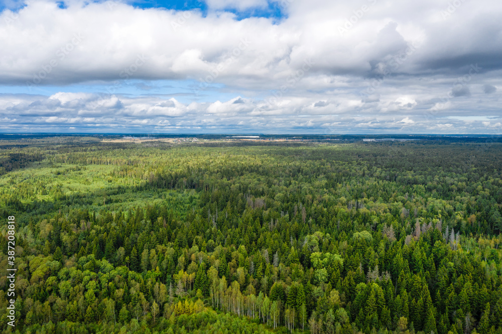 Aerial view of woodland on cloudy summer day