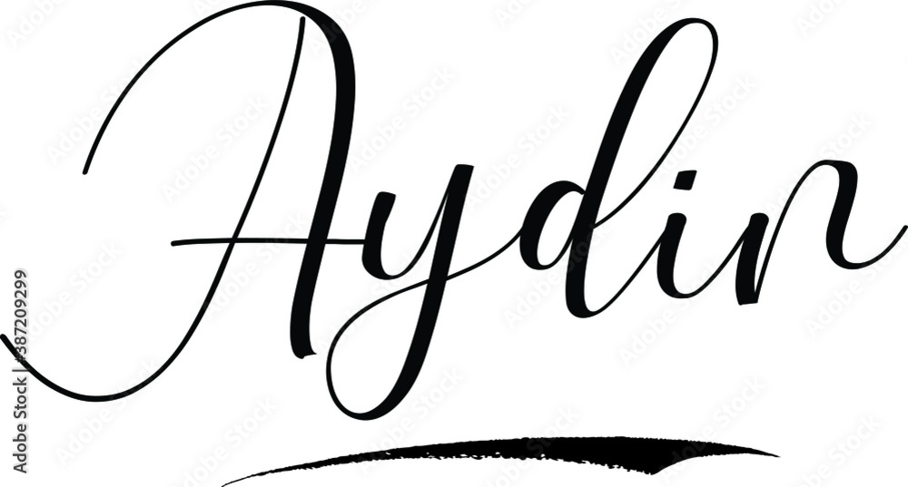 Aydin -Male Name Cursive Calligraphy on White Background Aydin -Male Name Cursive Calligraphy on White Background