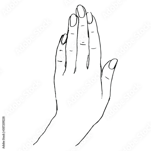 Raised up female human hand. Top view. Hand drawn linear doodle ink sketch. Black silhouette on white background.