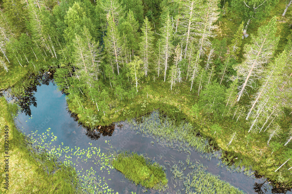 River flowing in the forest River flowing in the forest