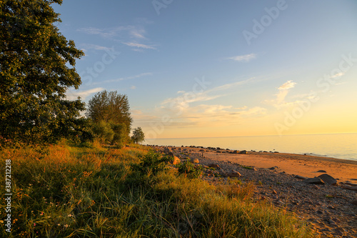Trees and rocky beach of Baltic sea in Latvia