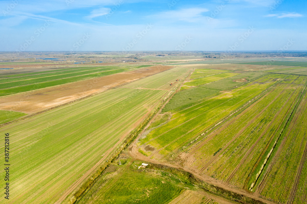 Top view of agricultural fields in autumn day Top view of agricultural fields in autumn day