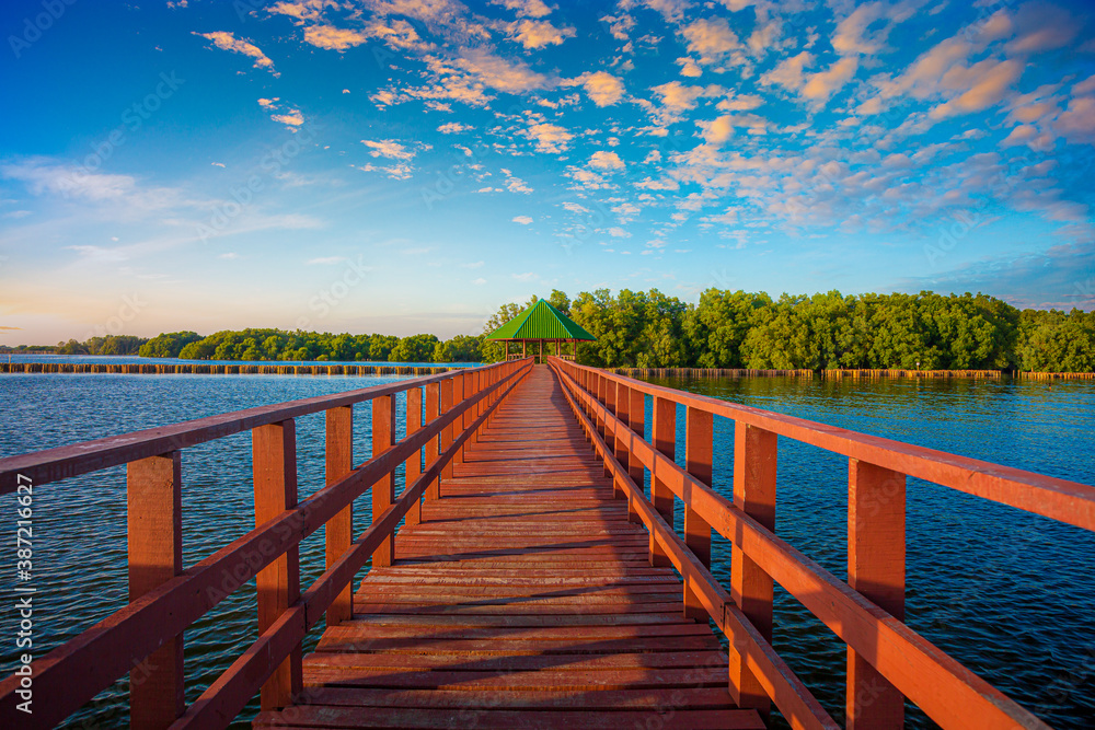 Fototapeta premium The forest mangrove with wooden walkway bridge,Red bridge and bamboo line,Tropical Climate, Reflection, Summer, Asia, Thailand,Bridge - Built Structure, Footbridge, Forest, Tropical Climate, Woodland