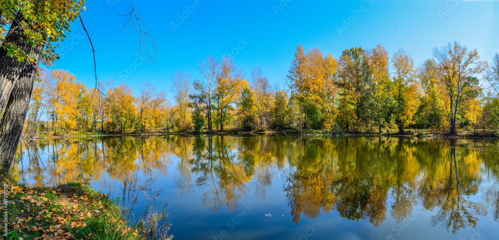 Golden autumn on lakeside - picturesque fall landscape near lake - panorama Golden autumn on lakeside - picturesque fall landscape near lake - panorama