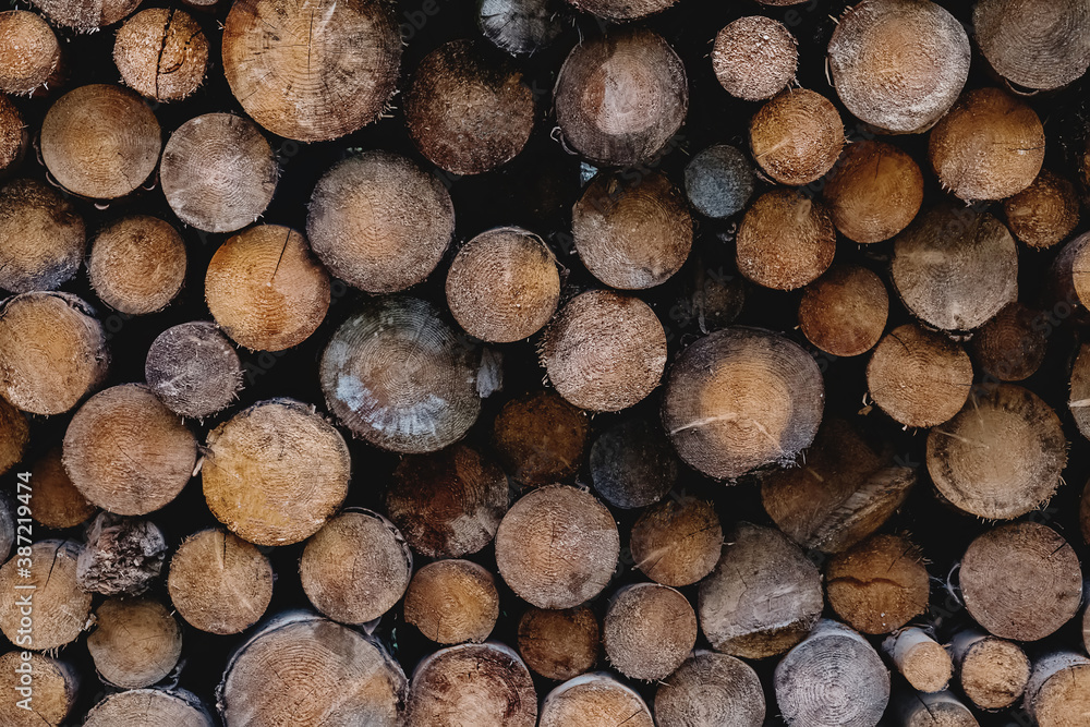 Firewood prepared for winter. Pile of wood logs close-up. Firewood prepared for winter. Pile of wood logs close-up.