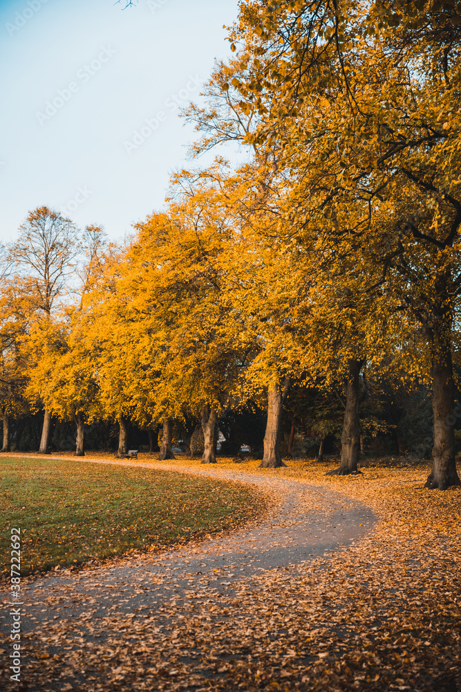 Autumn Scene in the Park, United Kingdom