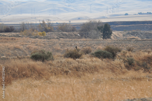 Φωτογραφία Dry Brush in Rural Area