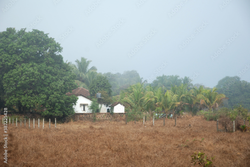 Fototapeta premium Indian village, the silence of the morning. Goa