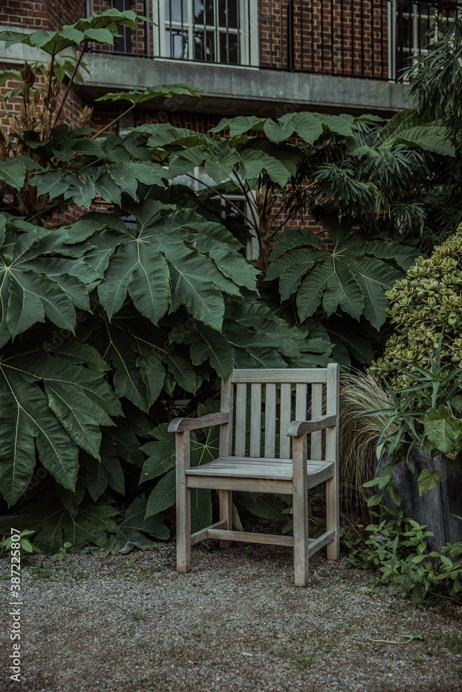 wooden chair in the garden