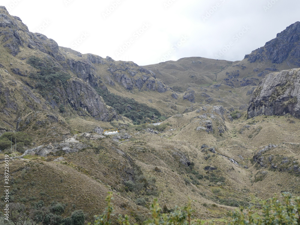 Páramo Vegetation im Cajas Nationalpark im Hochland von Ecuador. In einer Höhe von ca. 4000 m über dem Meeresspiegel.