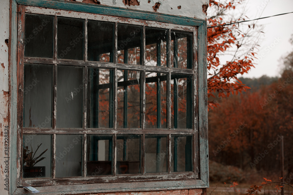 windows in an old village house in autumn