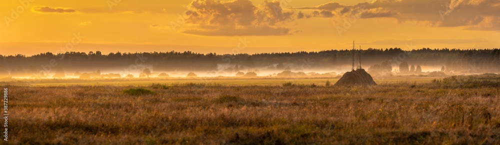 Foggy panorama of meadows at sunrise, the buffer zone of the Bialowieski National Park