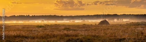 Foggy panorama of meadows at sunrise, the buffer zone of the Bialowieski National Park © hajdar