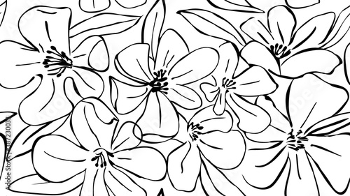 Vector seamless floral pattern. Black and white flowers. Hand painting illustration for surface design