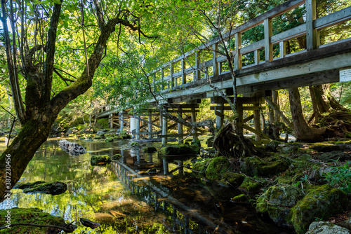 奥日光 湯ノ湖にかかる木製橋