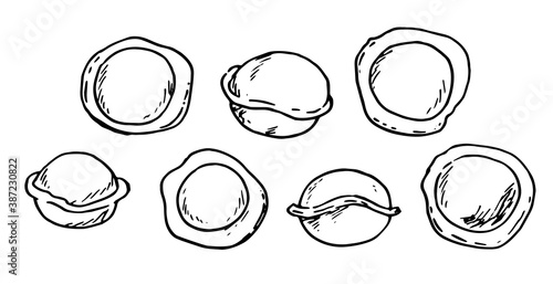 Vector set of dumplings in different angles with a black line. A simple Doodle-style illustration of food and food on a white isolated background is hand-drawn. Design for social networks, the Interne