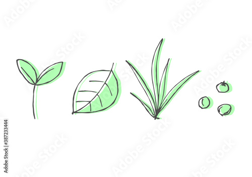 植物(ハーブ)の手描きベクターイラスト

