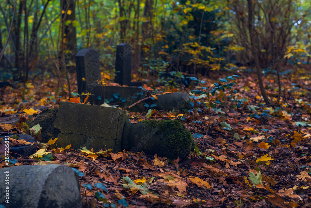 Old graves that nobody cares about anymore, old overgrown graves in a cemetery, autumnal, dark Old graves that nobody cares about anymore, old overgrown graves in a cemetery, autumnal, dark