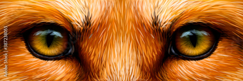 Red fox. Fox eyes close-up. Digital vector graphics.