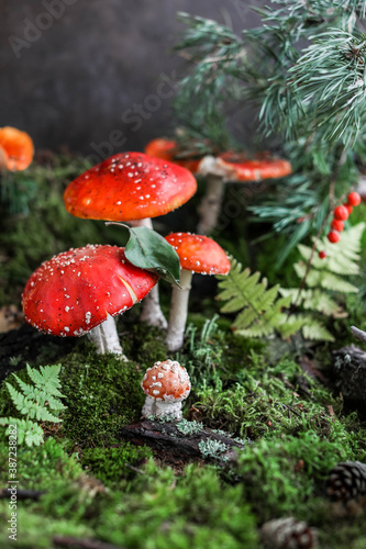 Forest fly agarics on green moss with fern and pine branches. Decorative composition made of amanita and natural materials. Red mushrooms.