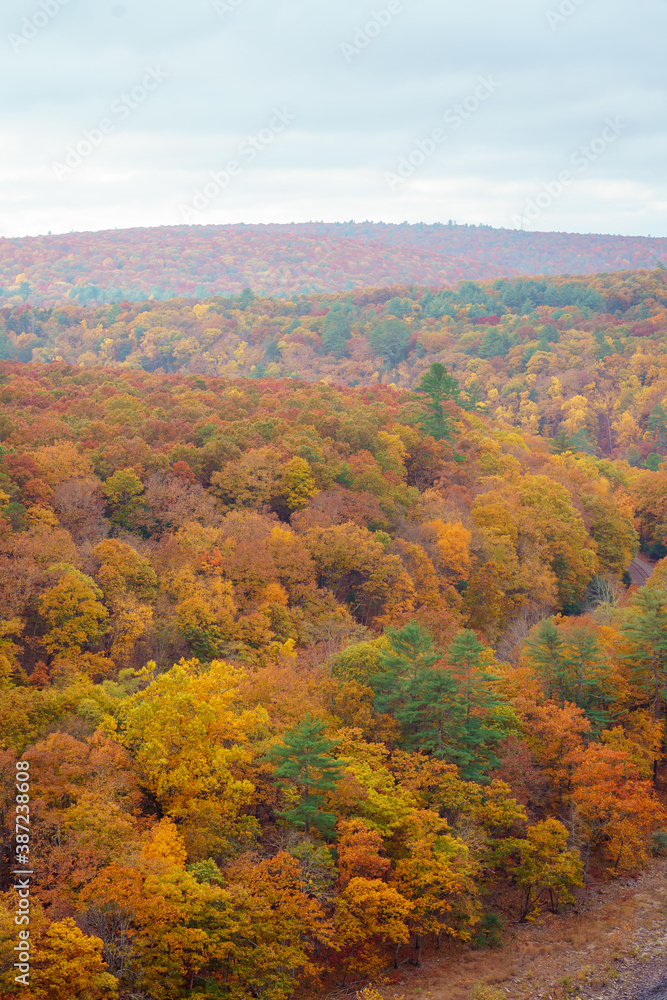Fall foliage forest. Hills and cloudy sky