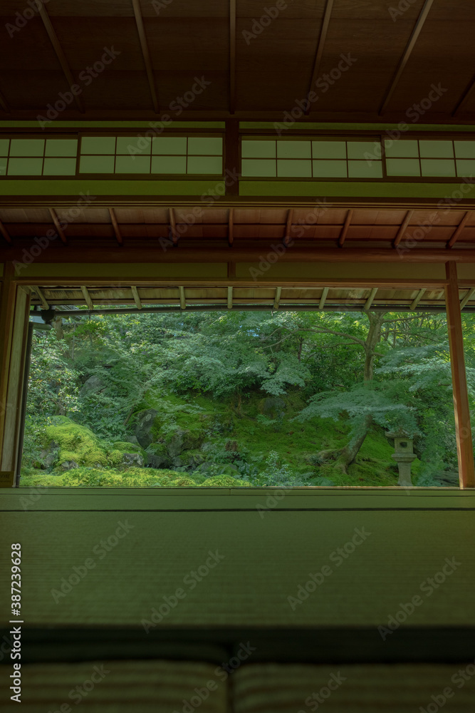 京都 日本 お寺 広告 写真 素材 日本庭園 数寄屋造 紅葉 春 夏 秋 四季 自然 歴史 観光 旅行 京都 日本 お寺 広告 写真 素材 日本庭園 数寄屋造 紅葉 春 夏 秋 四季 自然 歴史 観光 旅行